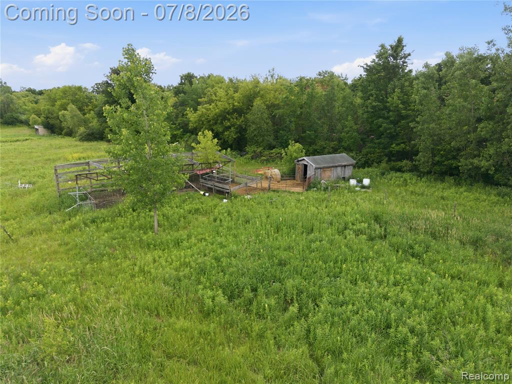 253 Park Street Property Photo 23