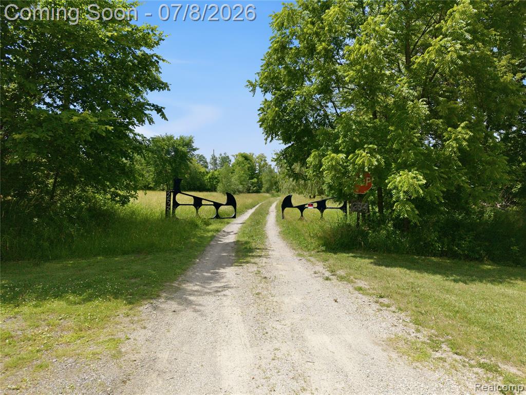 253 Park Street Property Photo 26