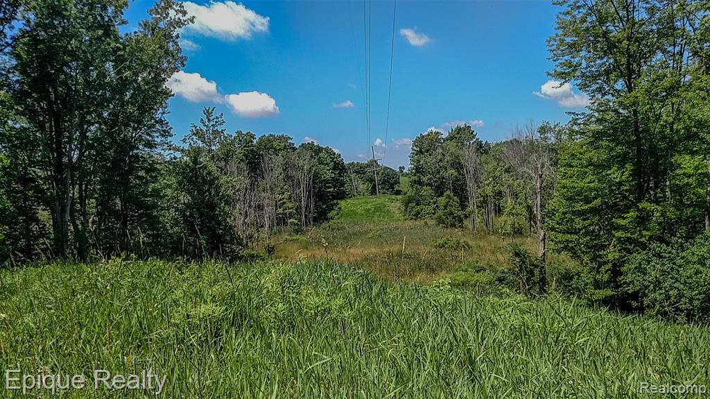 300 W Dewey Road Property Photo 13