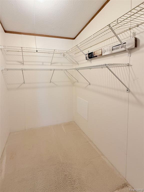 416 Raisin River Drive Property Photo 17