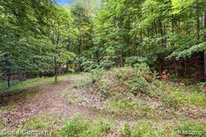 4575 Orion Road Property Photo 14
