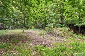 4575 Orion Road Property Photo 15