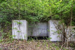 4575 Orion Road Property Photo 16