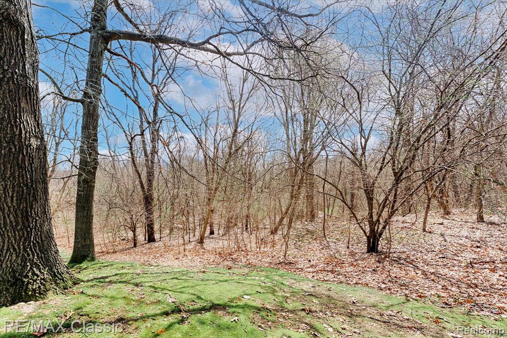 9039 Lake E Road Property Photo 47