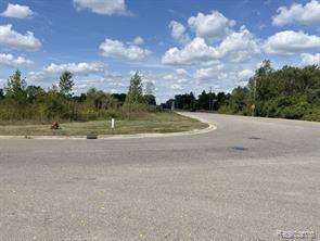 Vacant Land Grand River Avenue Property Photo 1