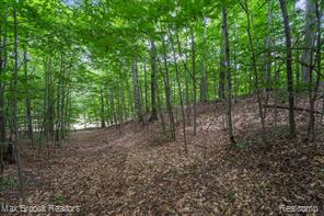 0000 Mackinaw Ridge Property Photo 4