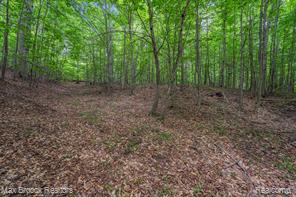 0000 Mackinaw Ridge Property Photo 5