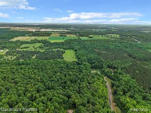 0000 Mackinaw Ridge Property Photo 9