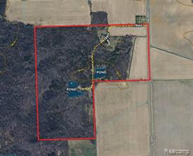 000 Dodge Rd Property Photo 6