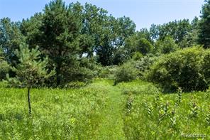000 Dodge Rd Property Photo 17