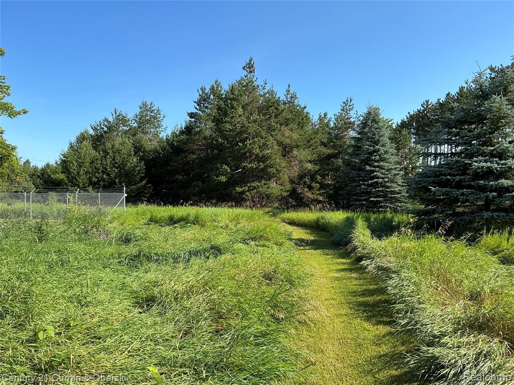 2048 County Road 612 Property Photo 43