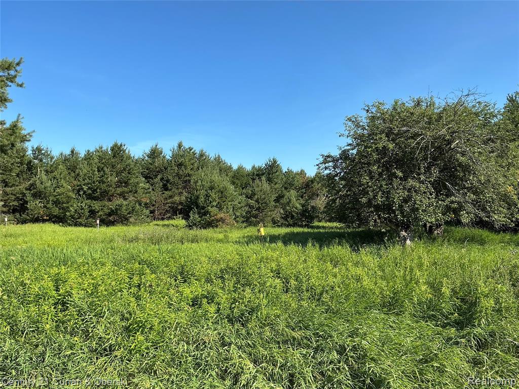 2048 County Road 612 Property Photo 45