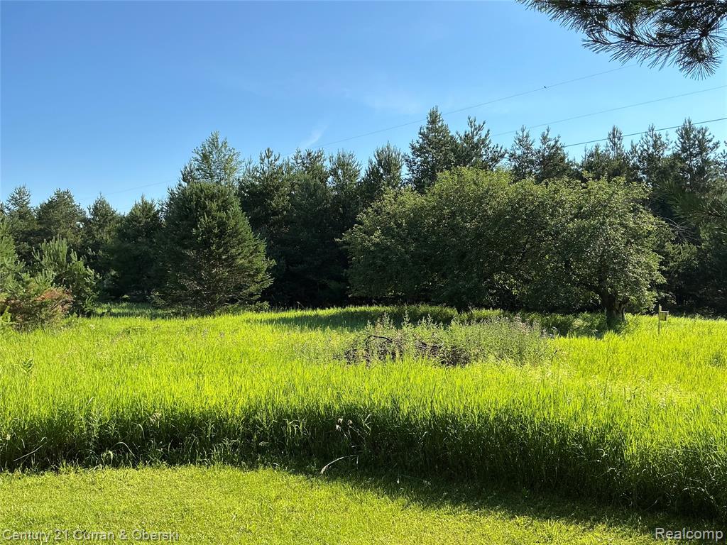 2048 County Road 612 Property Photo 53
