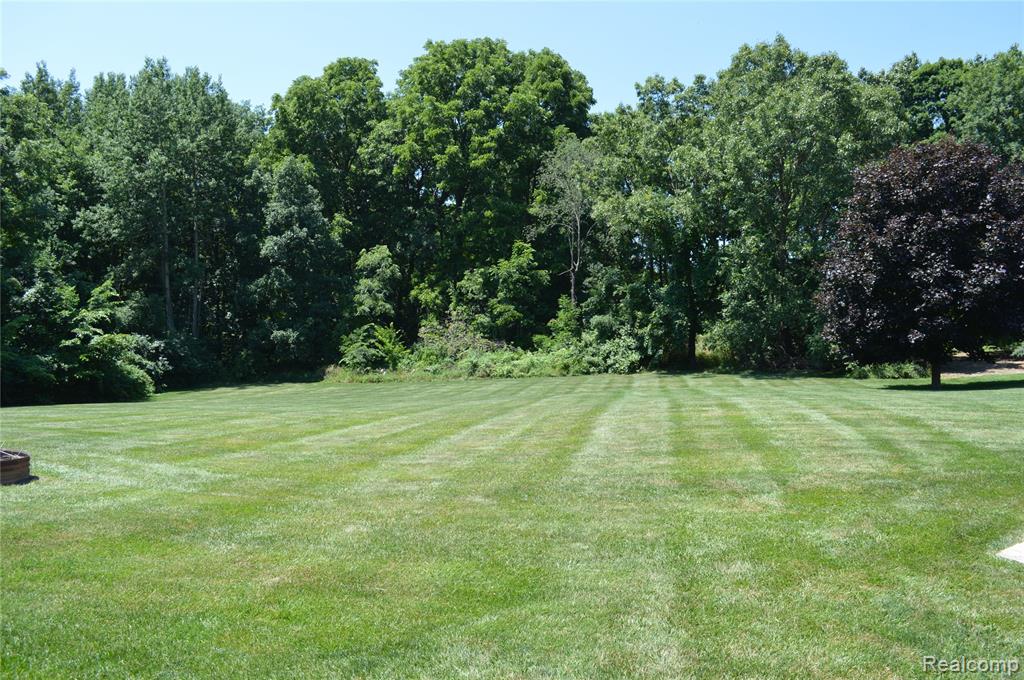10055 Walnut Hill Drive Property Photo 27