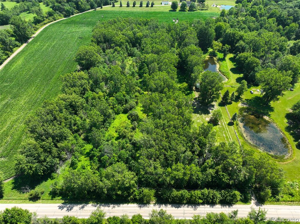Vacant Land Nicholson Rd Property Photo 6
