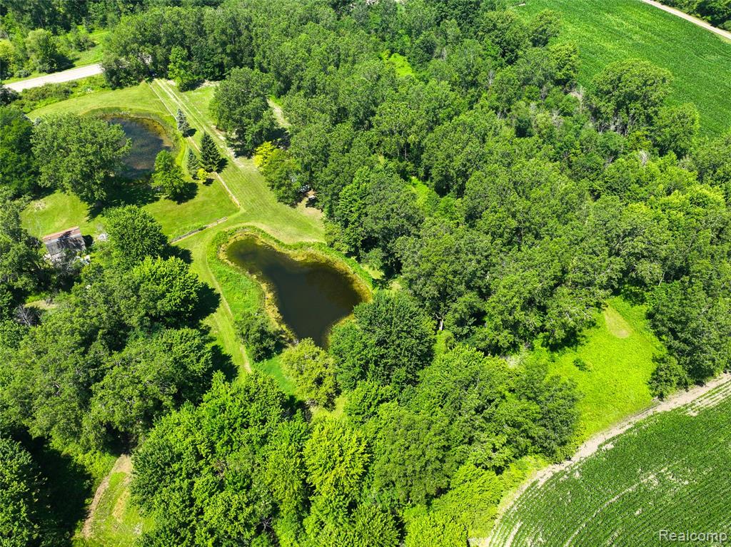 Vacant Land Nicholson Rd Property Photo 7