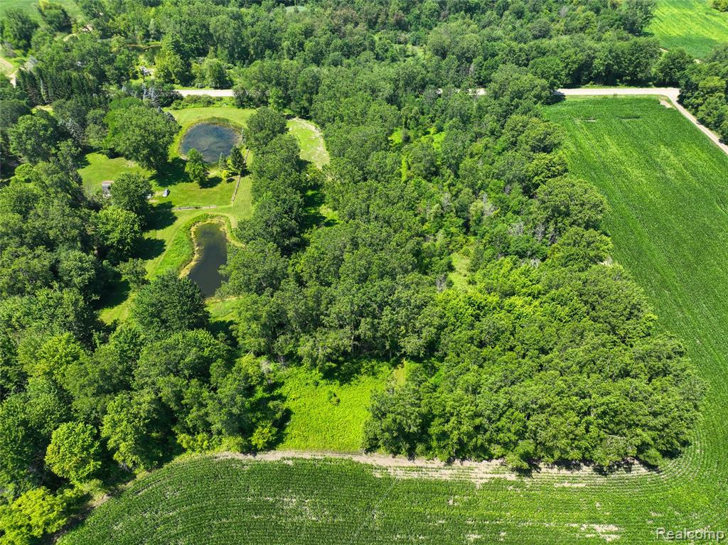 Vacant Land Nicholson Rd Property Photo 8