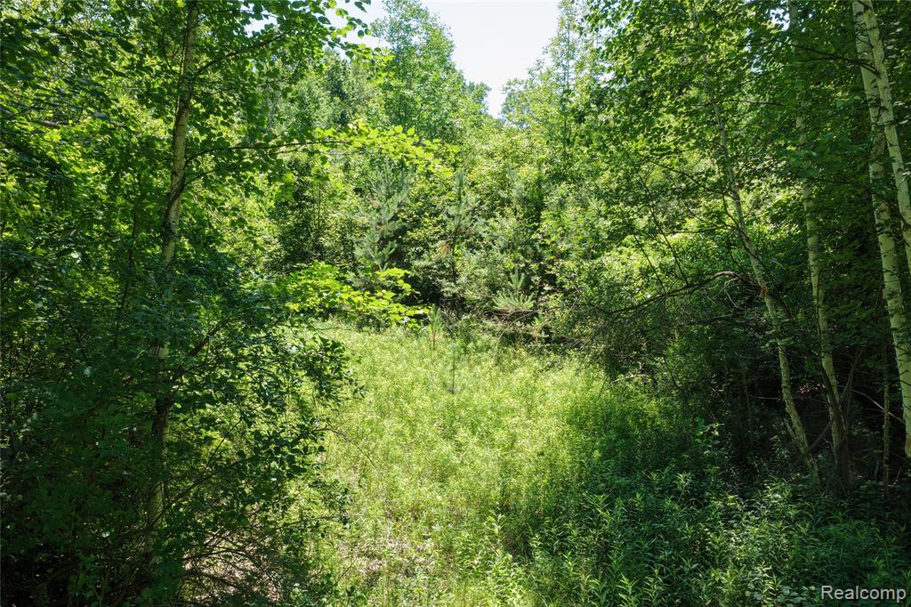 2898 Lakeshore Road Property Photo 17