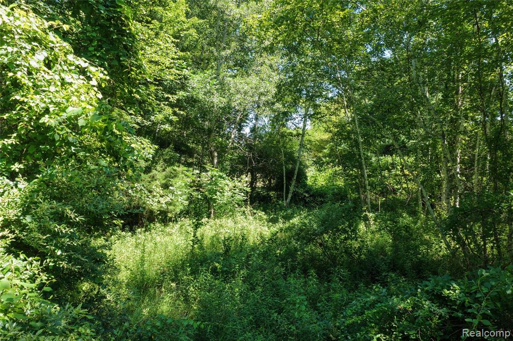 2898 Lakeshore Road Property Photo 18