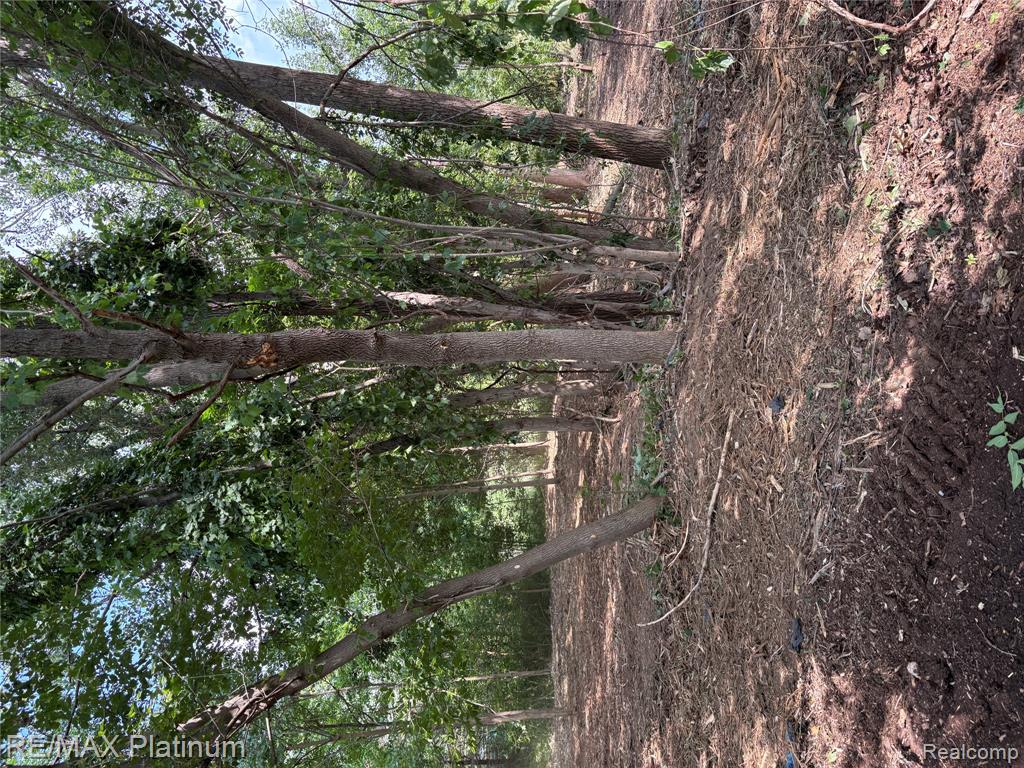 16133 Meredith Court Property Photo 4