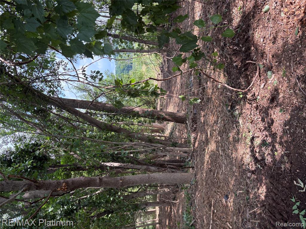 16133 Meredith Court Property Photo 5