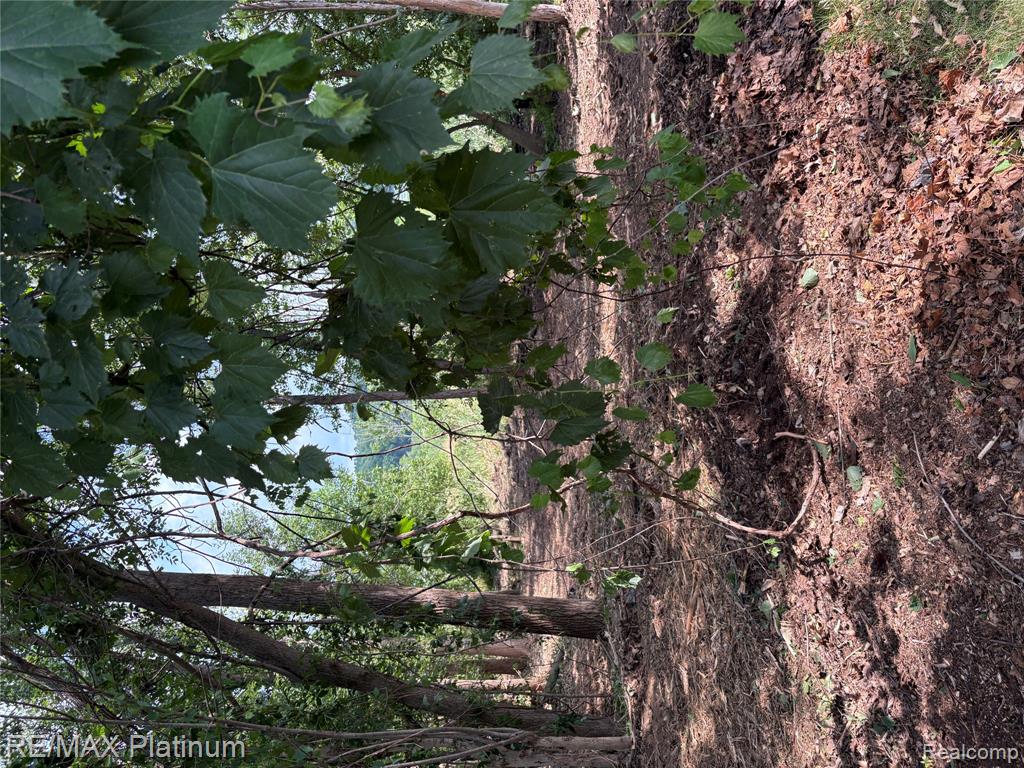 16133 Meredith Court Property Photo 6