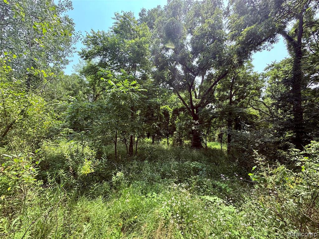 No # N Byron Property Photo 11