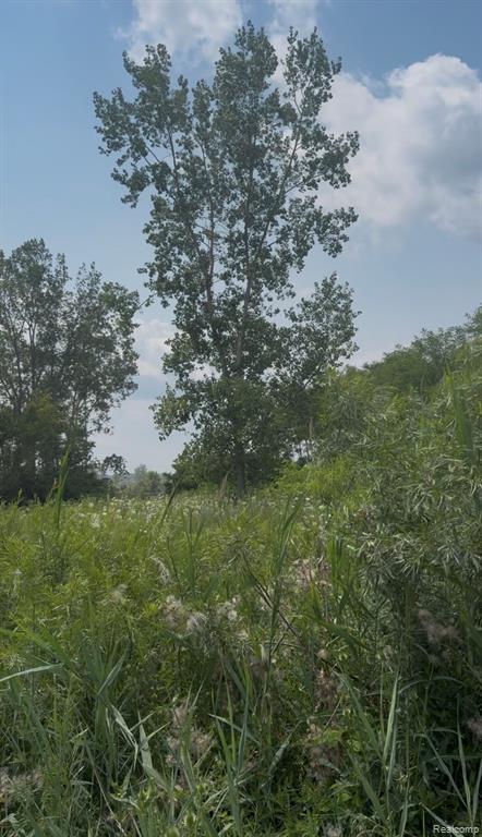 0 S Pennsylvania Road Property Photo 2