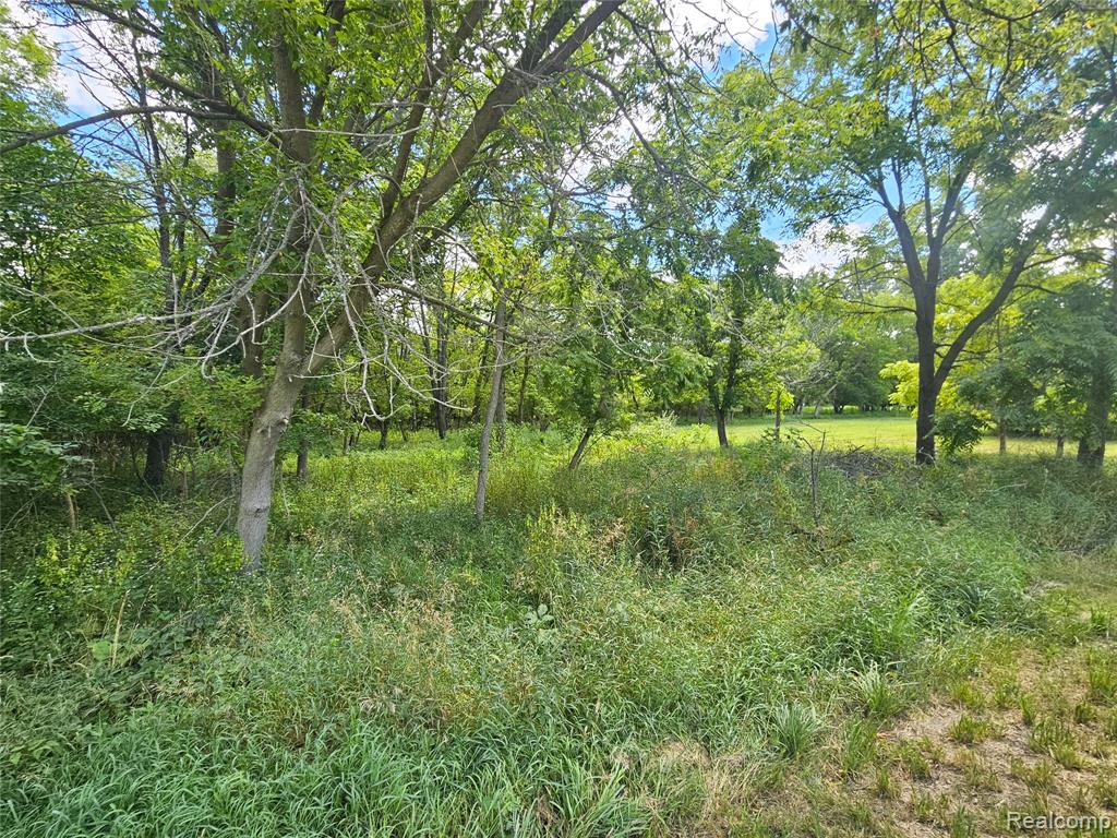 O Byron Road Property Photo 4