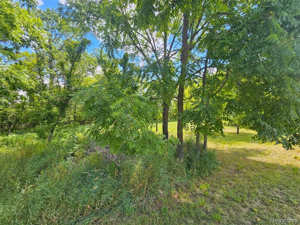 O Byron Road Property Photo 5