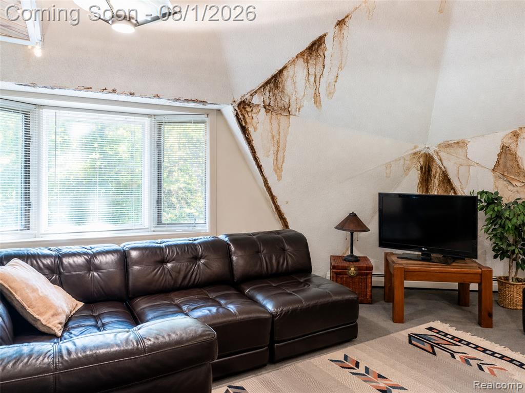 28966 Sibley Road Property Photo 20
