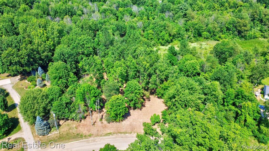 00 Bridges Cove Property Photo 3