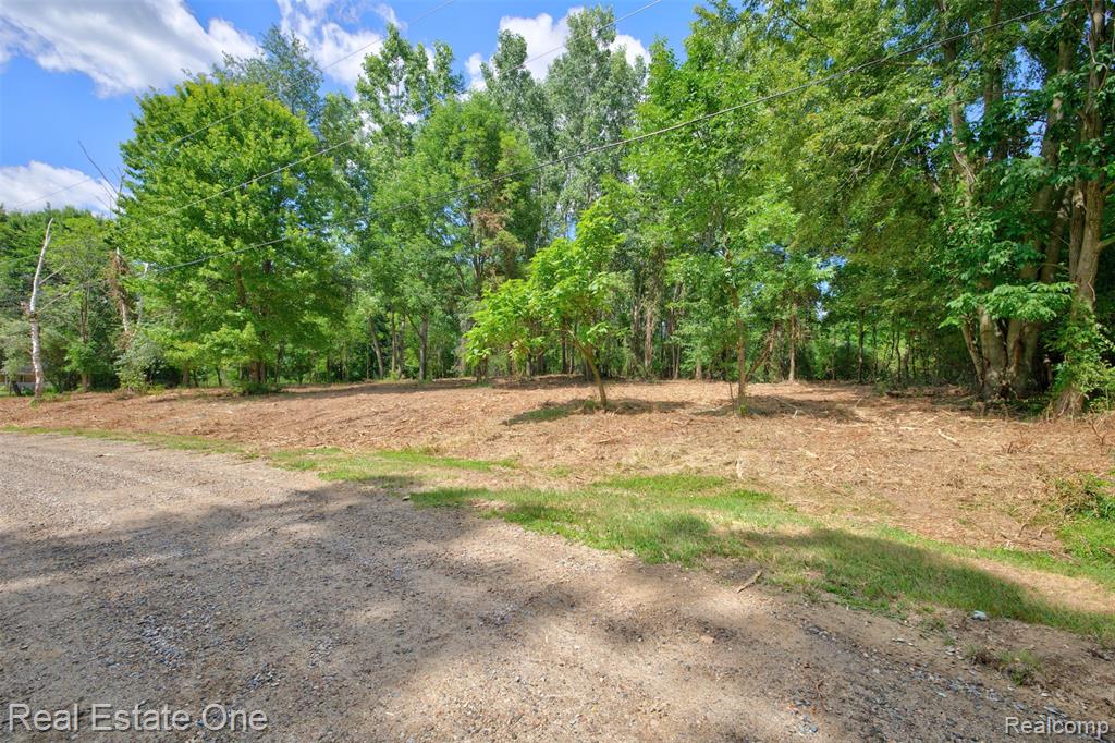 00 Bridges Cove Property Photo 5
