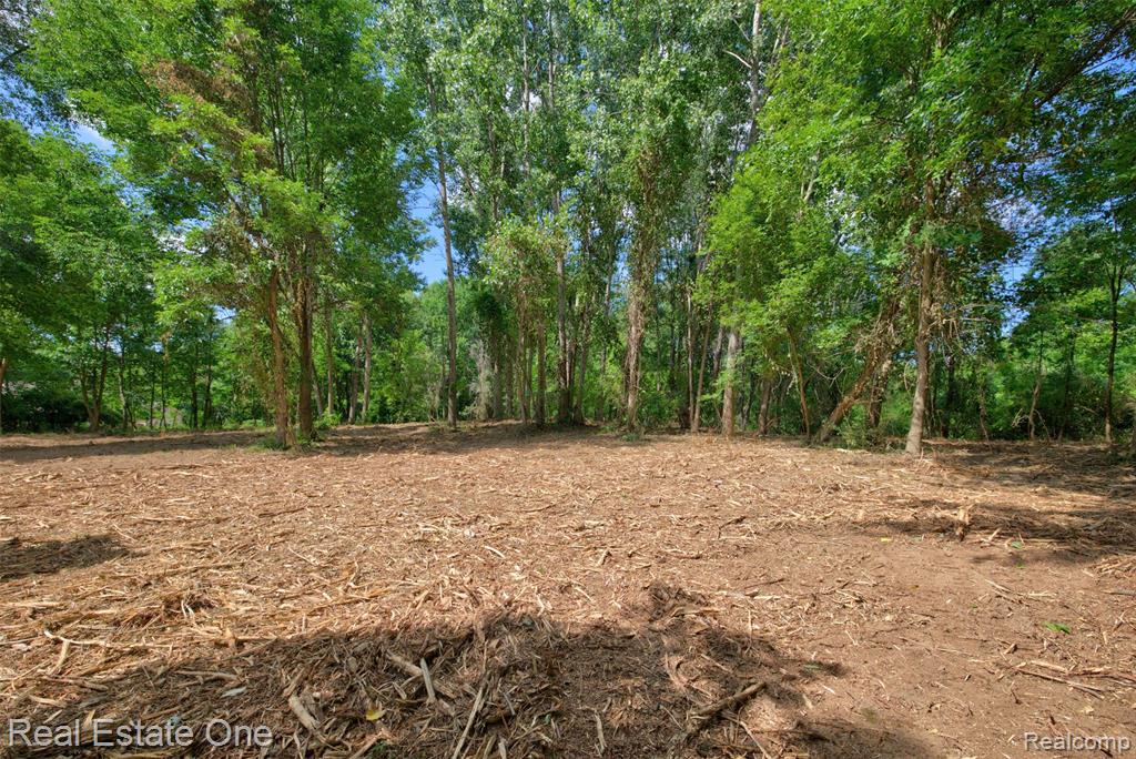 00 Bridges Cove Property Photo 8