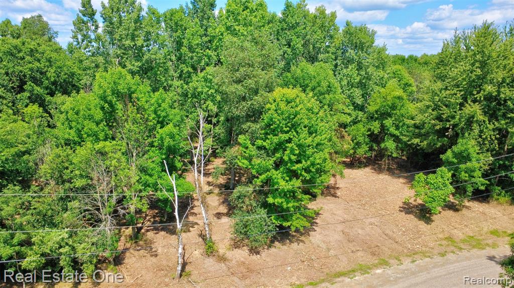 00 Bridges Cove Property Photo 10