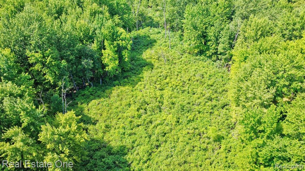 00 Bridges Cove Property Photo 20