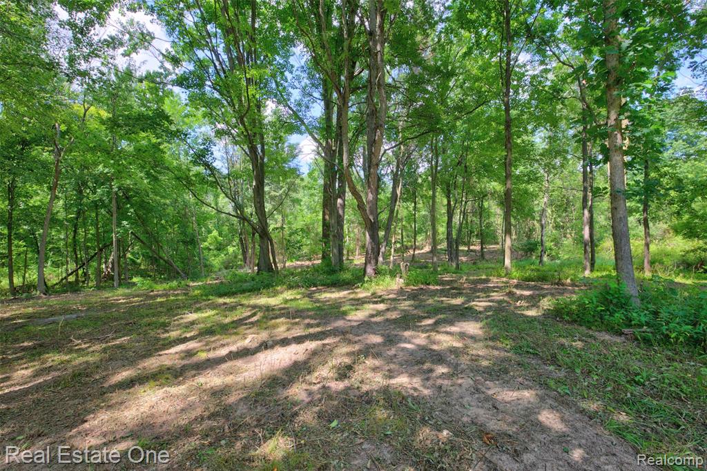 00 Bridges Cove Property Photo 26