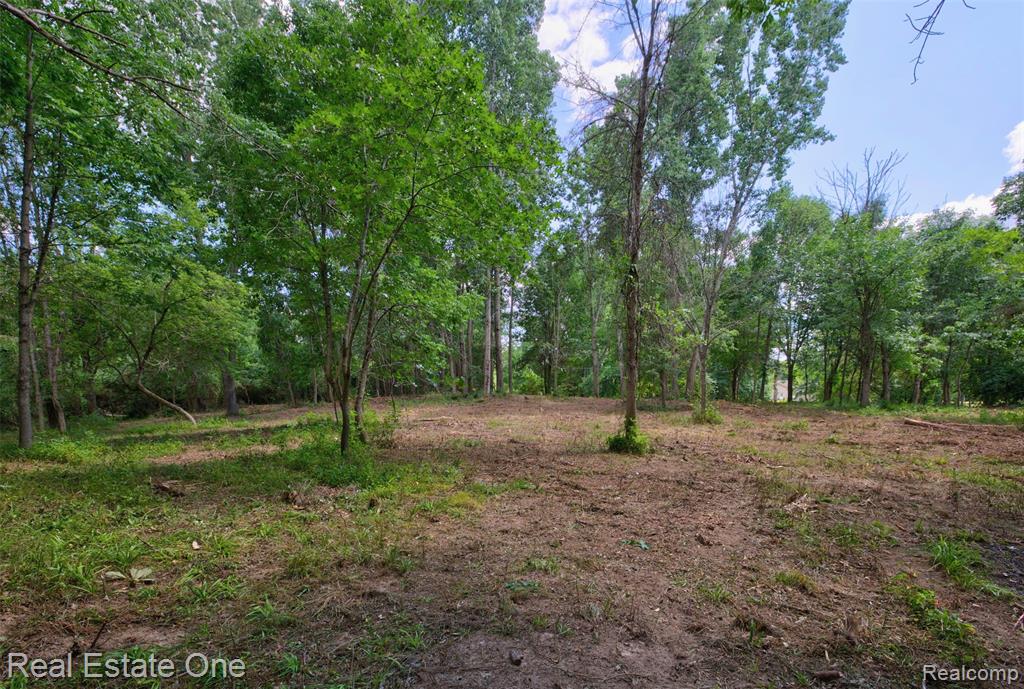00 Bridges Cove Property Photo 30