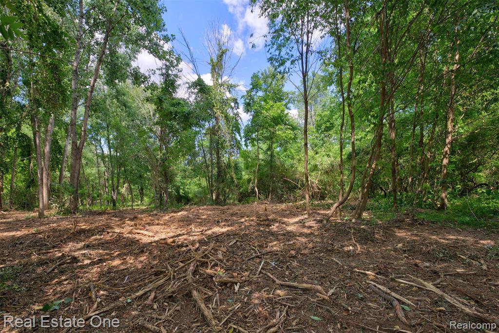 00 Bridges Cove Property Photo 37