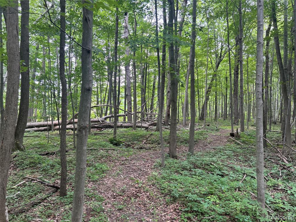 4502 Cemetery Road Property Photo 4