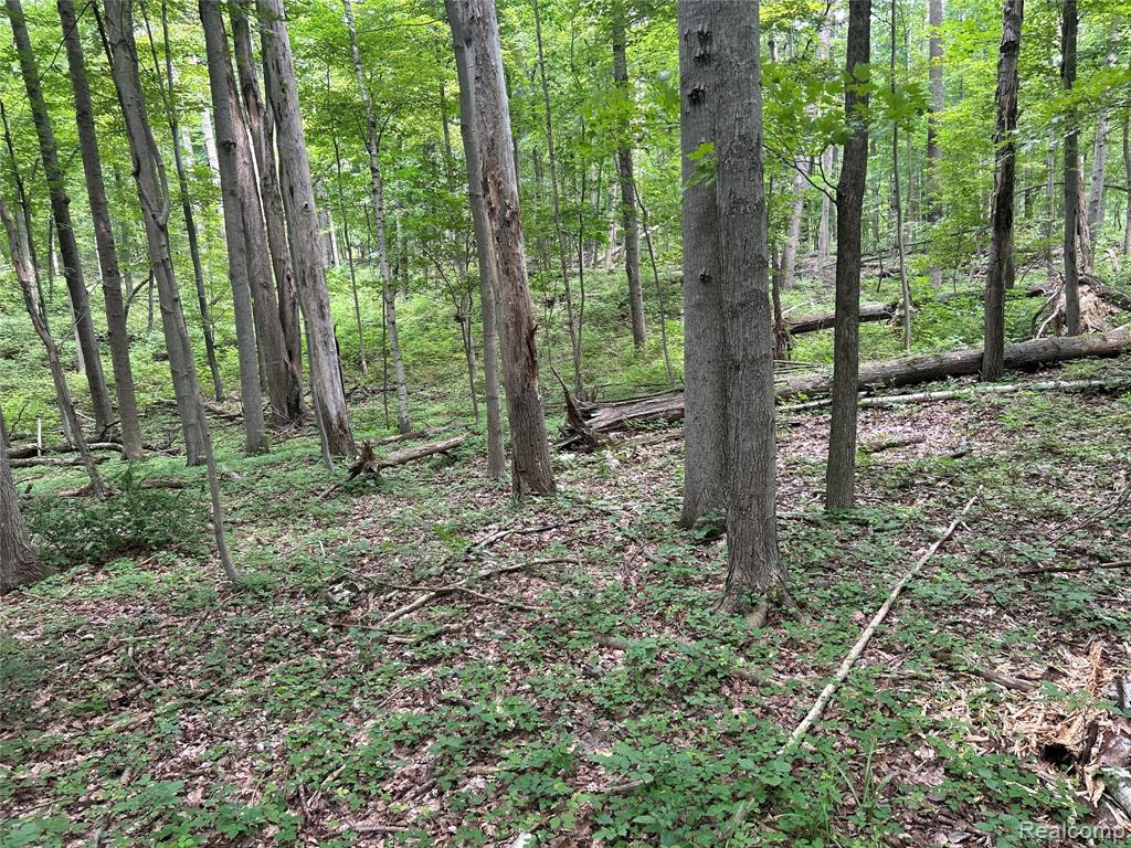 4502 Cemetery Road Property Photo 31