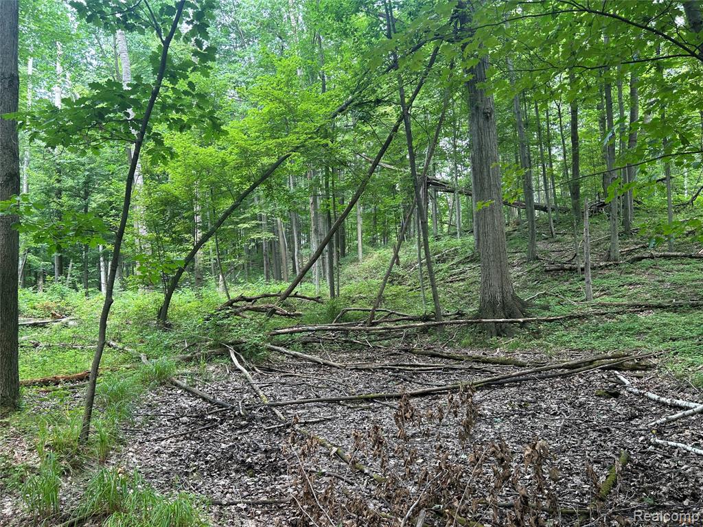 4502 Cemetery Road Property Photo 32