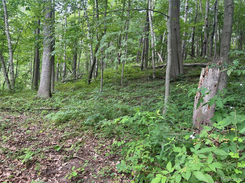 4502 Cemetery Road Property Photo 33