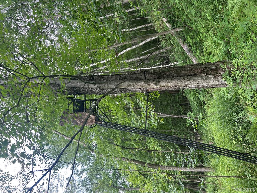 4502 Cemetery Road Property Photo 34