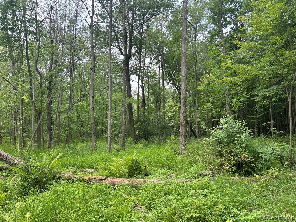4502 Cemetery Road Property Photo 35