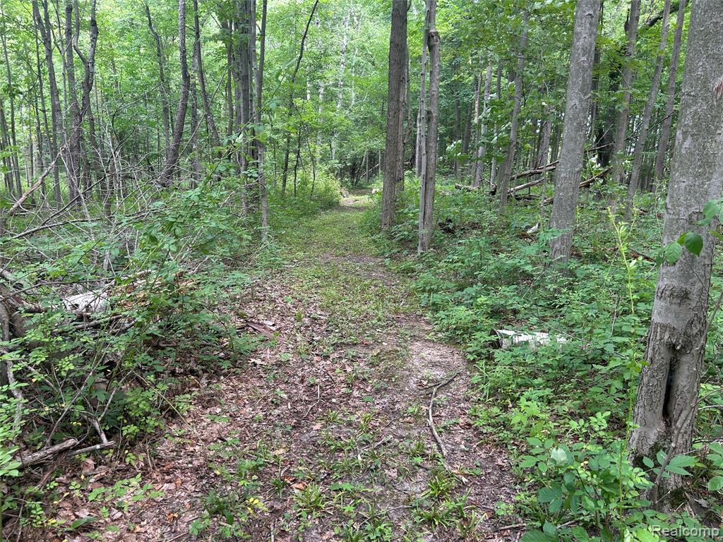 4502 Cemetery Road Property Photo 36