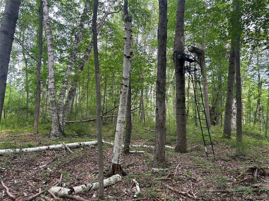 4502 Cemetery Road Property Photo 37