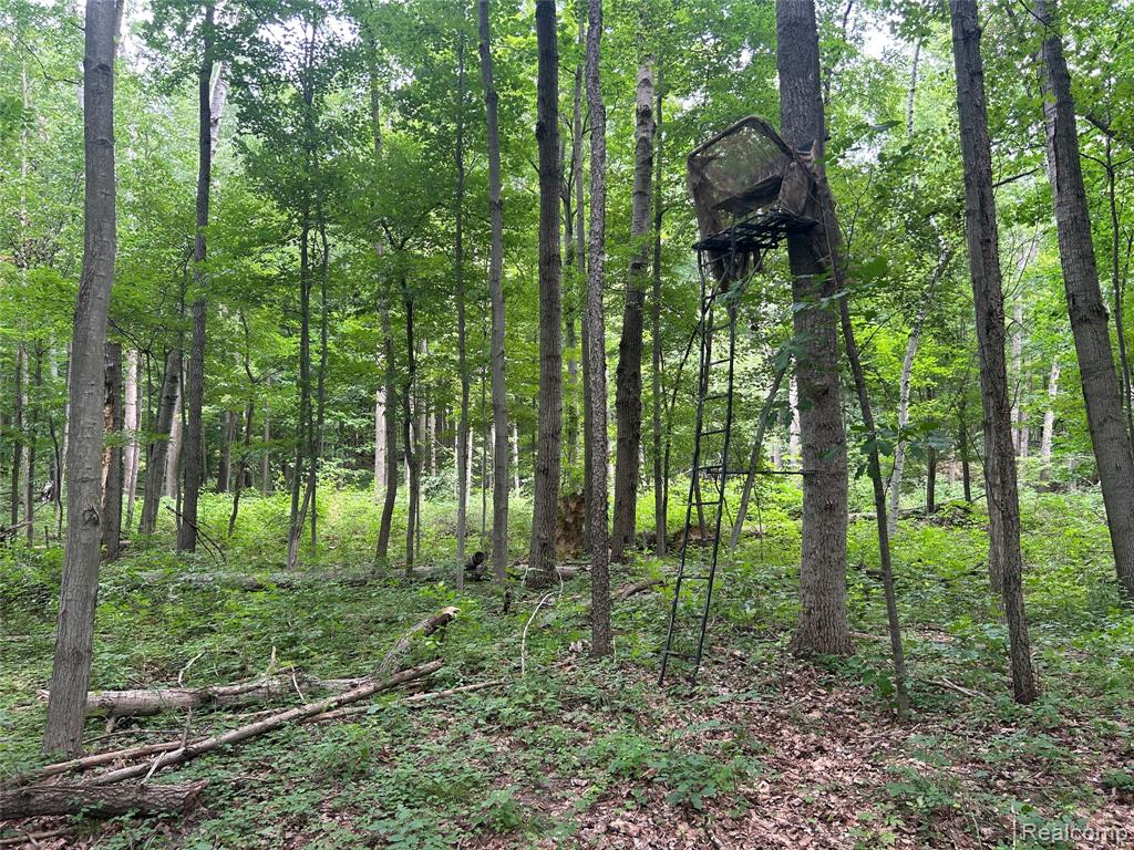 4502 Cemetery Road Property Photo 38