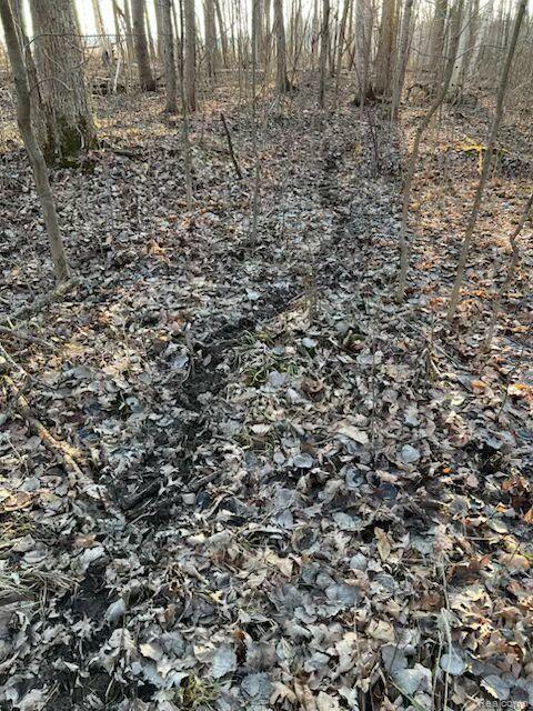 4502 Cemetery Road Property Photo 39