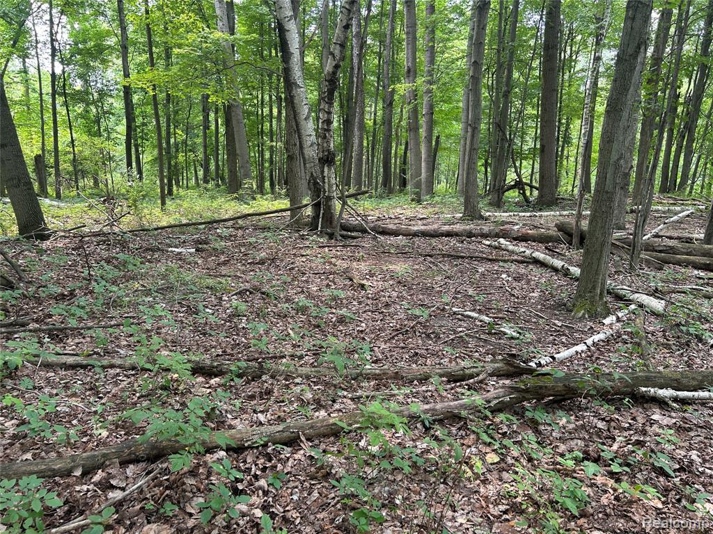 4502 Cemetery Road Property Photo 40